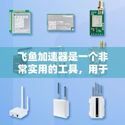 飞鱼加速器是一个非常实用的工具，用于加速视频、音频和图片等资源。以下是关于飞鱼加速器的详细分析