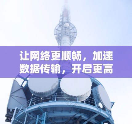 让网络更顺畅，加速数据传输，开启更高效的生活—幻兽加速器免费版的使用指南