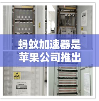 蚂蚁加速器是苹果公司推出的加速工具，通常需要付费使用。如果你需要快速下载或完成任务，可以尝试以下方法