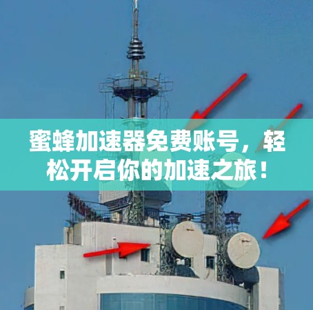 蜜蜂加速器免费账号，轻松开启你的加速之旅！