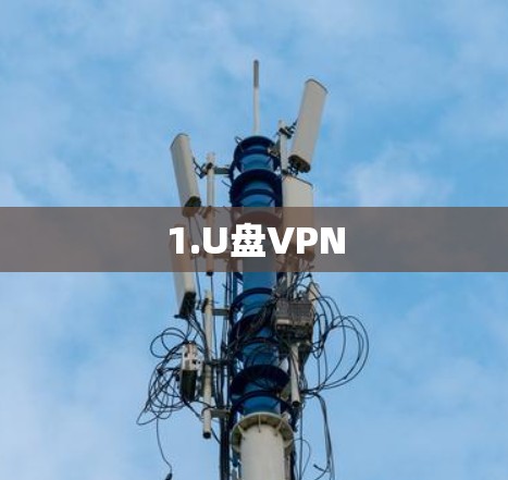 1.U盘VPN