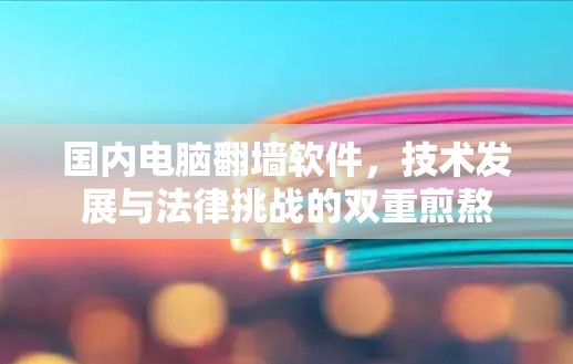国内电脑翻墙软件,技术发展与法律挑战的双重煎熬 国内电脑翻墙软件,技术发展与法律挑战的双重煎熬
