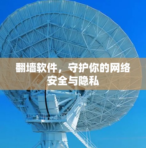 翻墙软件,守护你的网络安全与隐私 翻墙软件,守护你的网络安全与隐私
