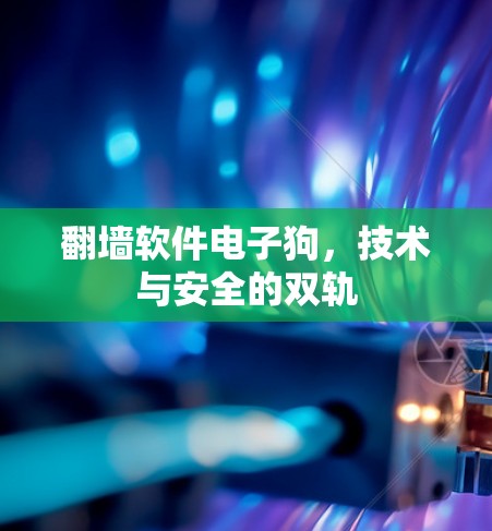 翻墙软件电子狗，技术与安全的双轨