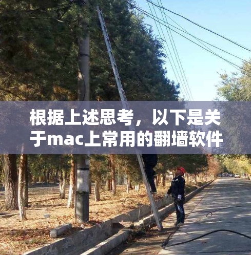 根据上述思考，以下是关于mac上常用的翻墙软件的整理