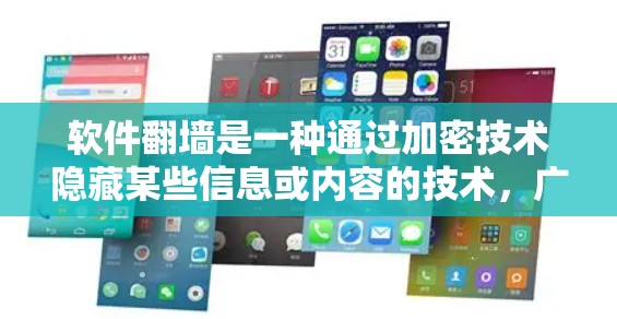 软件翻墙是一种通过加密技术隐藏某些信息或内容的技术，广泛应用于互联网。以下是对软件翻墙的详细分析