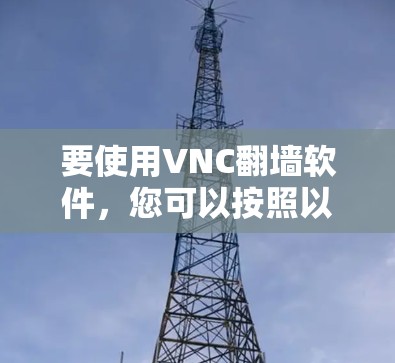 要使用VNC翻墙软件，您可以按照以下步骤进行
