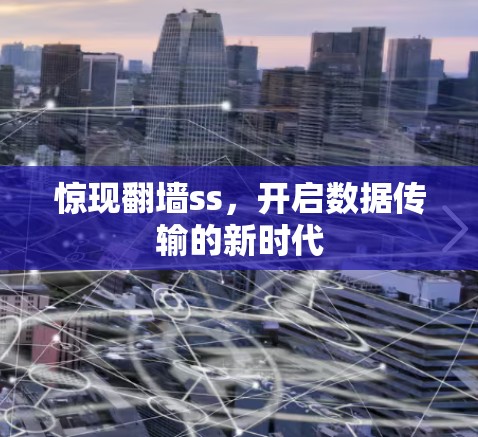 惊现翻墙ss，开启数据传输的新时代