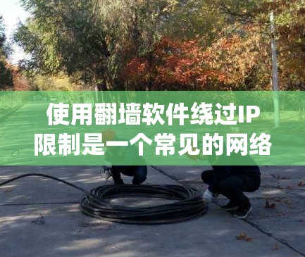 使用翻墙软件绕过IP限制是一个常见的网络管理方法，能够帮助用户访问更多网站。以下是一步步的指南