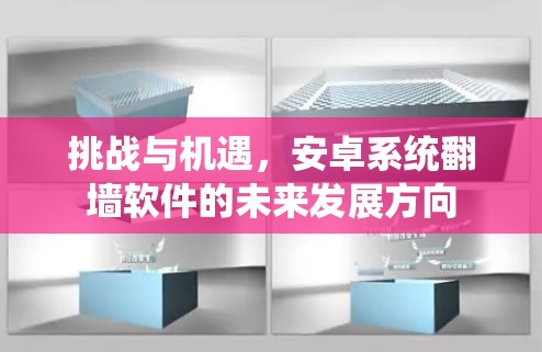 挑战与机遇，安卓系统翻墙软件的未来发展方向
