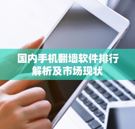 国内手机翻墙软件排行解析及市场现状 国内手机翻墙软件排行解析及市场现状