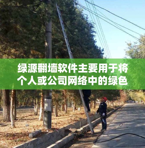 绿源翻墙软件主要用于将个人或公司网络中的绿色设备移动到非绿色设备上，满足用户网络连接不好的需求。以下是针对用户可能遇到的问题的详细解决方案