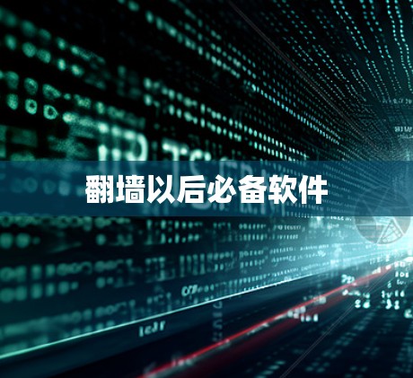 翻墙以后必备软件