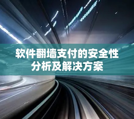 软件翻墙支付的安全性分析及解决方案