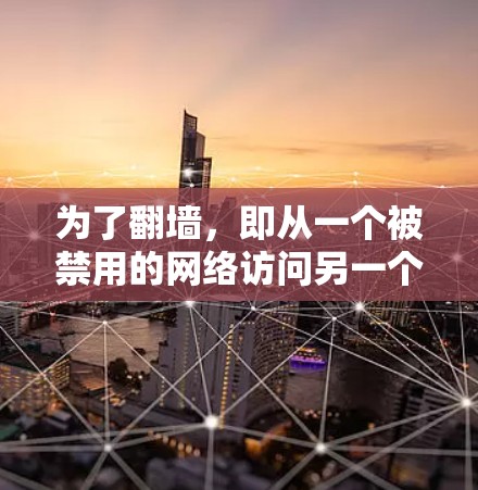 为了翻墙，即从一个被禁用的网络访问另一个网络，可以使用以下工具