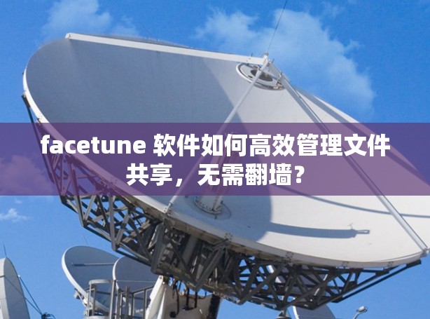 facetune 软件如何高效管理文件共享，无需翻墙？