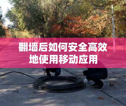 翻墙后如何安全高效地使用移动应用