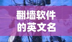 翻墙软件的英文名称可以有不同的写法，但通常会根据其主要功能和适用场景进行调整。以下是一些常见的英文名称