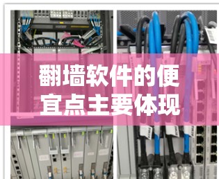 翻墙软件的便宜点主要体现在价格因素，虽然这些软件通常需要一定的配置和维护，但其价格通常低于其他翻墙软件。以下是一些可能的便宜点