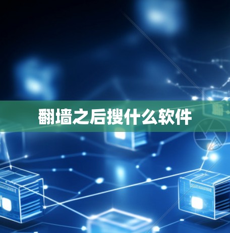 翻墙之后搜什么软件