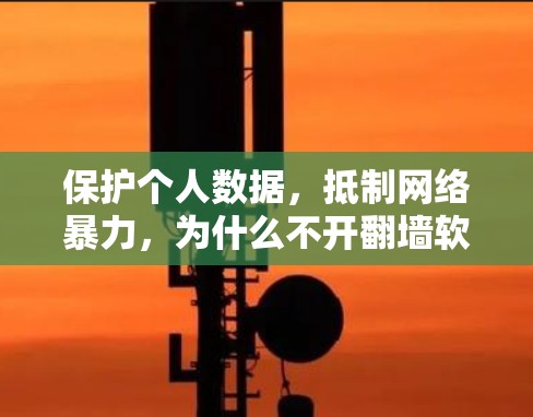保护个人数据，抵制网络暴力，为什么不开翻墙软件，意味着你的通信安全被侵犯