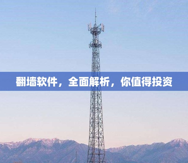 翻墙软件，全面解析，你值得投资