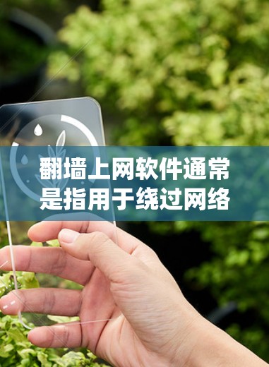 翻墙上网软件通常是指用于绕过网络限制或绕过审查软件的工具。这些软件通过网络设备的端口直接连接到互联网，通常用于在普通设备上进行上网操作。以下是关于翻墙上网软件的一些常见类型和使用方法