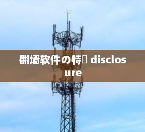 翻墙软件の特徴 disclosure