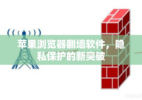 苹果浏览器翻墙软件，隐私保护的新突破