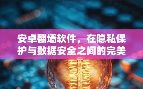 安卓翻墙软件，在隐私保护与数据安全之间的完美平衡