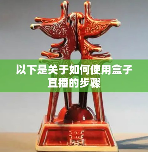 以下是关于如何使用盒子直播的步骤