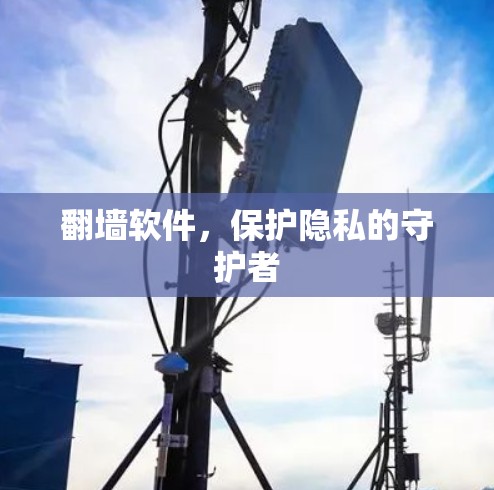 翻墙软件，保护隐私的守护者