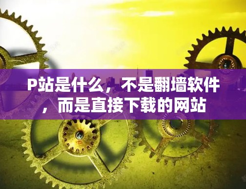 P站是什么，不是翻墙软件，而是直接下载的网站