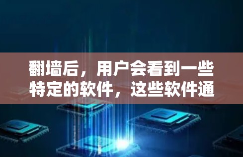 <strong>翻墙</strong>后，用户会看到一些特定的软件，这些软件通常与<strong>翻墙</strong>工具结合使用，以提供安全访问和管理功能。以下是详细的解答