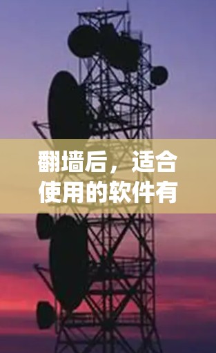 翻墙后,适合使用的软件有W3Flip、Netoretention和Netaverse。以下是对这些软件的详细分析 翻墙后,适合使用的软件有W3Flip、Netoretention和Netaverse。以下是对这些软件的详细分析