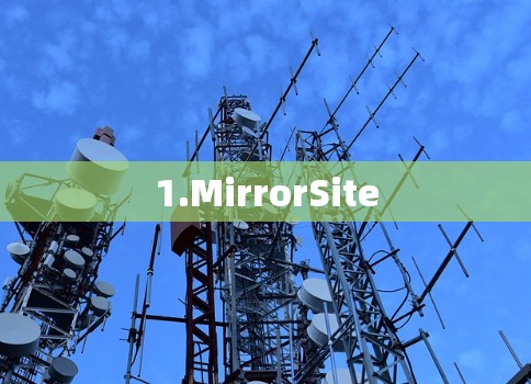 1.MirrorSite 1.MirrorSite