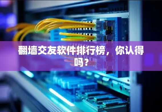 翻墙交友软件排行榜,你认得吗? 翻墙交友软件排行榜,你认得吗?