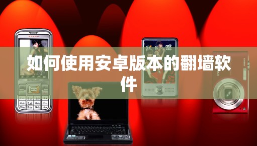 如何使用安卓版本的翻墙软件
