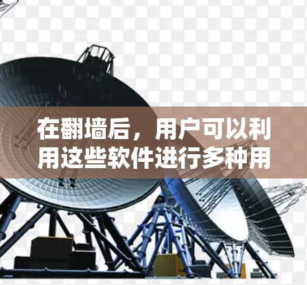 在翻墙后，用户可以利用这些软件进行多种用途，包括开发、学习和娱乐。以下是一些适合在无网络环境下的软件建议