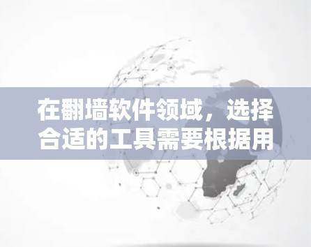 在翻墙软件领域，选择合适的工具需要根据用户的预算、使用场景和功能需求进行评估。以下是一些推荐的翻墙软件，帮助用户找到最适合他们的选择