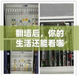 翻墙后,你的生活还能看哪些软件? 翻墙后,你的生活还能看哪些软件?