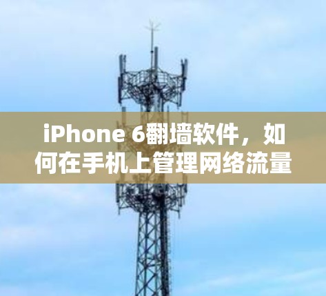 iPhone 6翻墙软件,如何在手机上管理网络流量与隐私 iPhone 6翻墙软件,如何在手机上管理网络流量与隐私