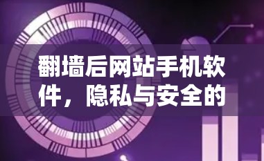 翻墙后网站手机软件,隐私与安全的双重困境 翻墙后网站手机软件,隐私与安全的双重困境