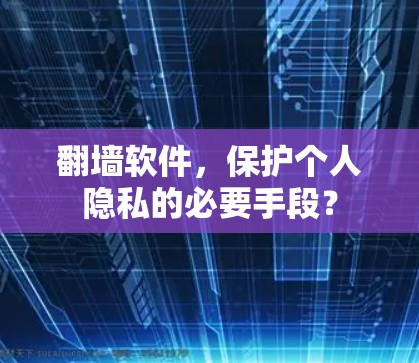 翻墙软件，保护个人隐私的必要手段？