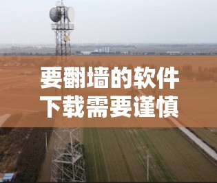 要翻墙的软件下载需要谨慎，尤其是对个人用户来说，下载非法软件可能会导致网络安全问题。以下是一些可靠、安全的下载链接，建议您不要点击链接，以免误入恶意软件