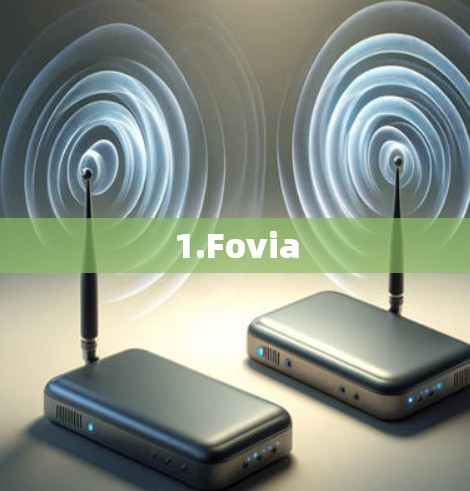 1.Fovia