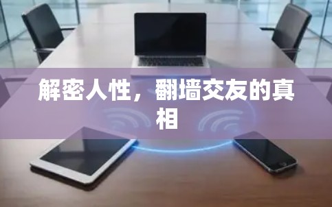 解密人性,翻墙交友的真相 解密人性,翻墙交友的真相