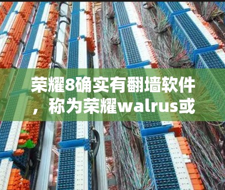 荣耀8确实有翻墙软件,称为荣耀walrus或翻墙软件。这个软件允许用户将荣耀8手机上的应用和数据复制到其他设备上。用户可以通过以下步骤使用该软件 荣耀8确实有翻墙软件,称为荣耀walrus或翻墙软件。这个软件允许用户将荣耀8手机上的应用和数据复制到其他设备上。用户可以通过以下步骤使用该软件