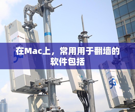 在Mac上，常用用于翻墙的软件包括