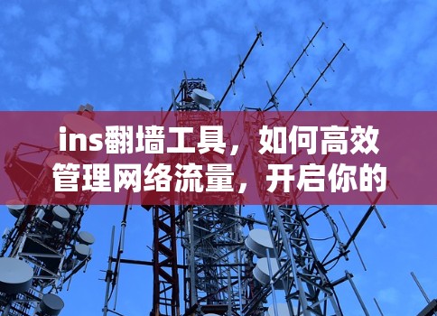 ins翻墙工具,如何高效管理网络流量,开启你的翻墙之旅? ins翻墙工具,如何高效管理网络流量,开启你的翻墙之旅?